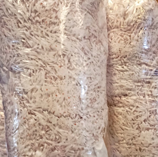 Romu Manipulados de papel,C.B.